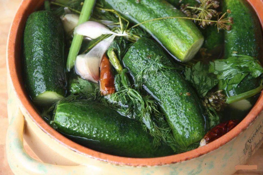 Хрустящие малосольные огурцы быстрого приготовления – 9 простых рецептов