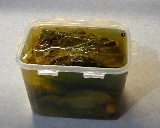 Хрустящие малосольные огурцы — фото рецепт