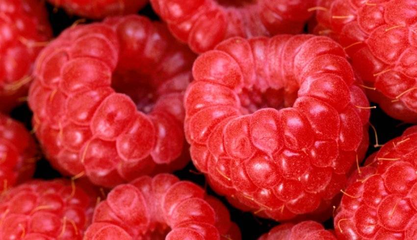 Компот из малины на зиму