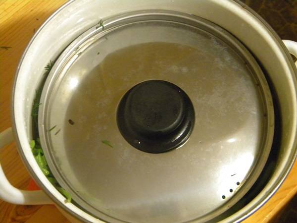 Хрустящие малосольные огурцы — фото рецепт