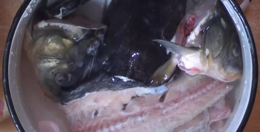 Уха из семги: из головы, хвоста, хребта семги, с целыми кусками рыбы