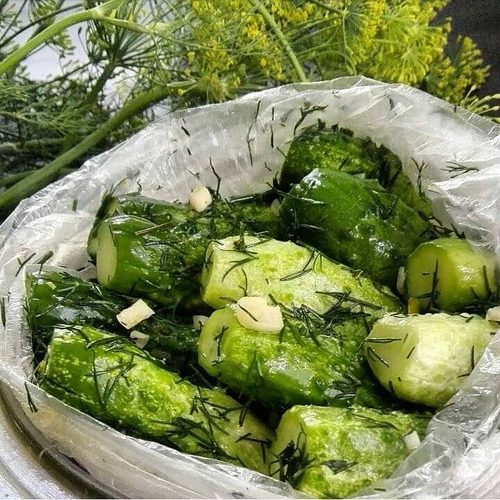 Малосольные огурцы в пакете – 7 быстрых рецептов