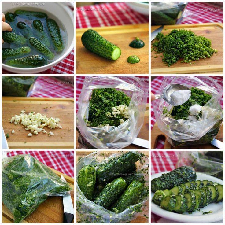 Малосольные огурцы в пакете – 5 быстрых рецептов