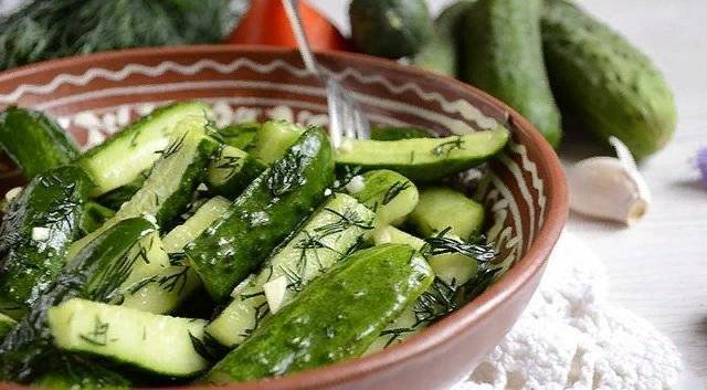 Малосольные огурцы в пакете с чесноком: рецепты быстрого приготовления от 5 минут!