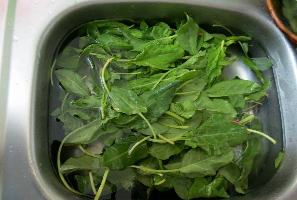 Щавель на зиму – делаем заготовку