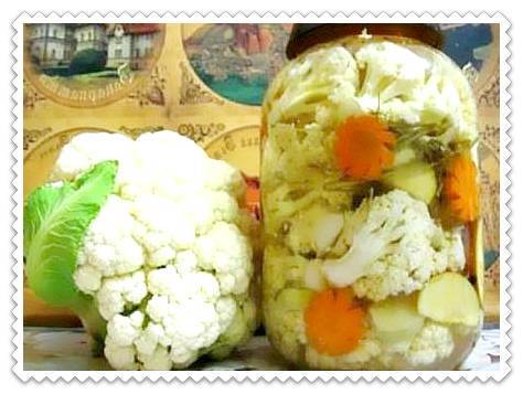 Цветная капуста на зиму