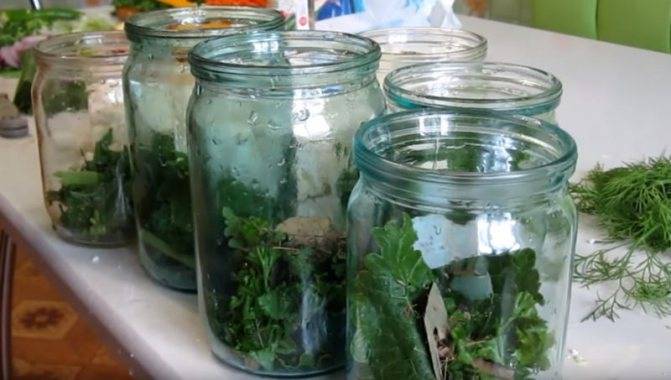 Цветная капуста на зиму