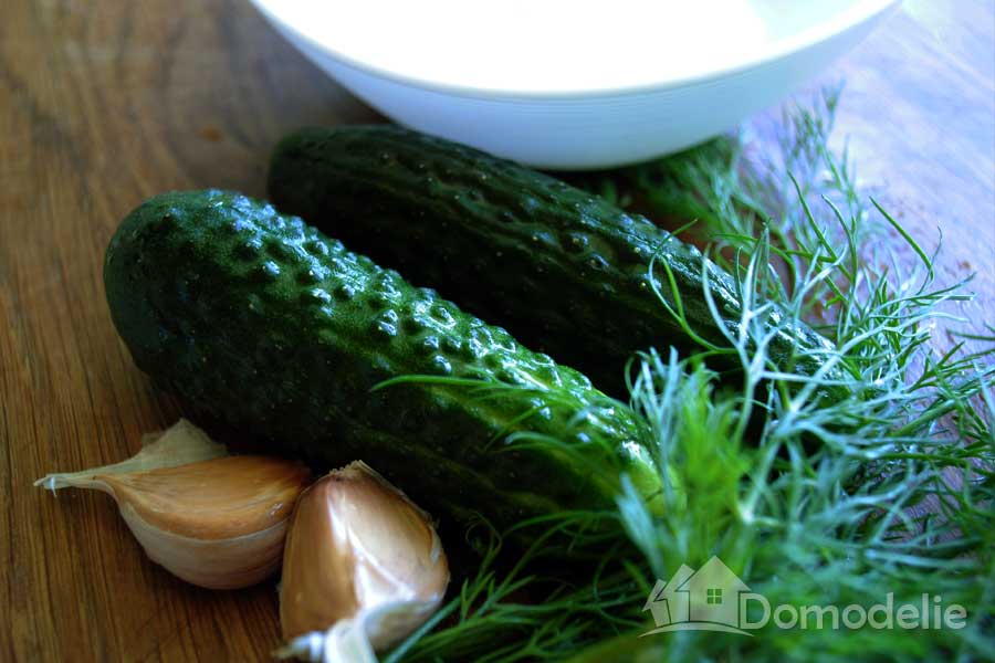 Соус дзадзики: фото-рецепт