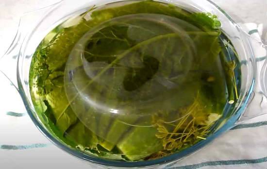 Хрустящие малосольные огурцы — фото рецепт