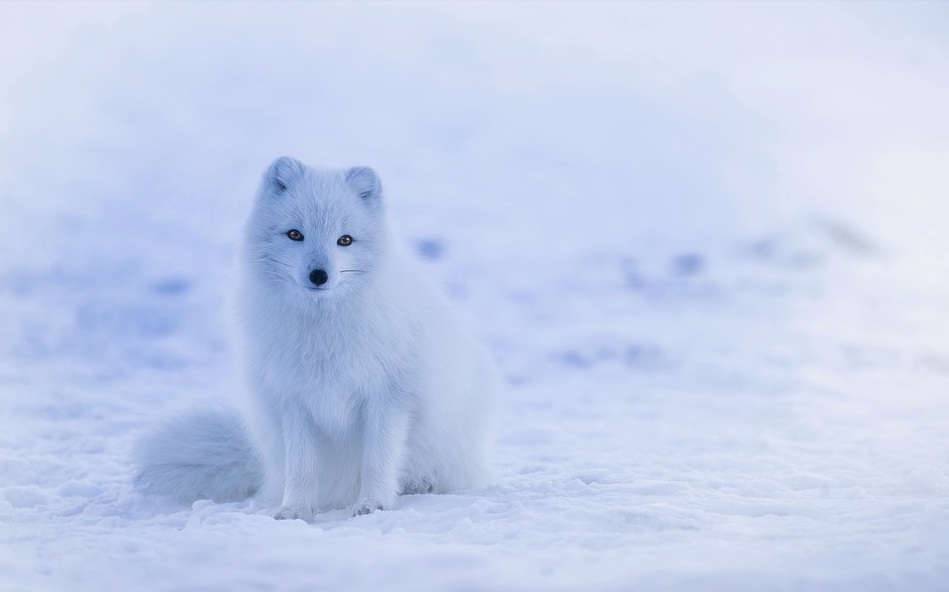 Кого из знаков Зодиака ожидает достаток в феврале 2019 года?