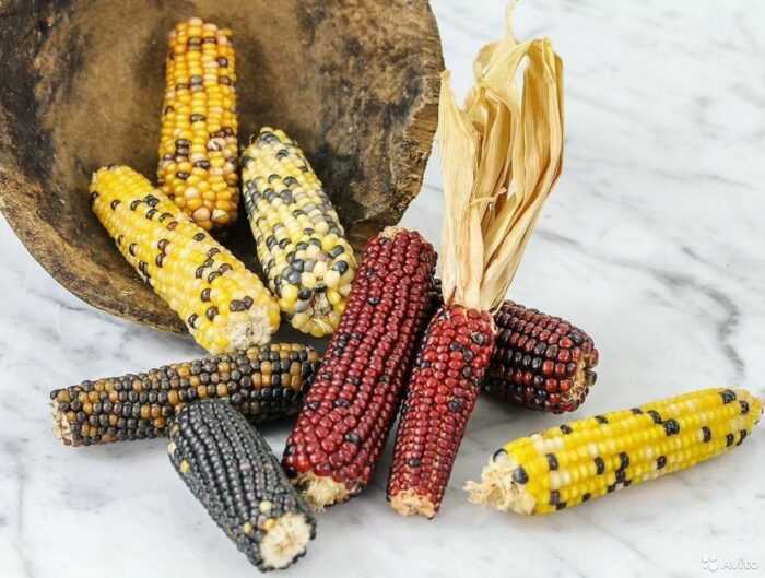 Попкорн в домашних условиях из кукурузы на сковороде