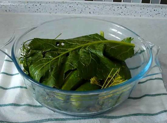 Хрустящие малосольные огурцы — фото рецепт