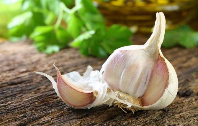 Соус для пиццы – простые и вкусные рецепты приготовления