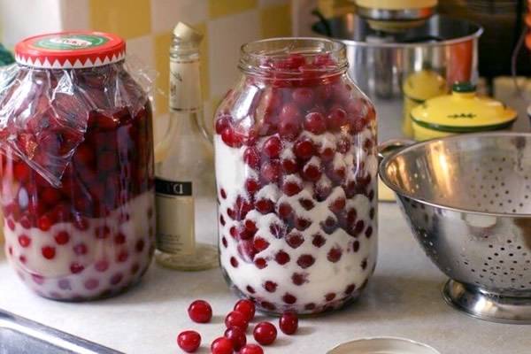 Вишневая настойка в домашних условиях