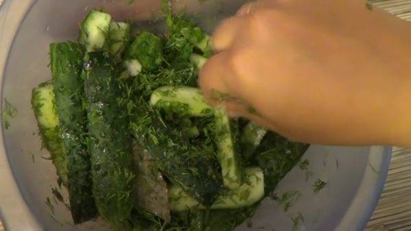 Малосольные огурцы в пакете