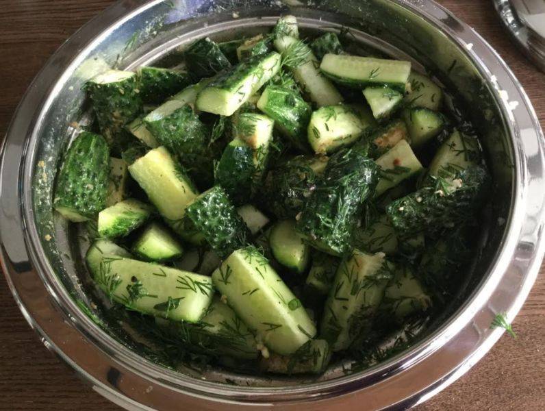 Хрустящие малосольные огурцы в пакете — 8 рецептов быстрого приготовления