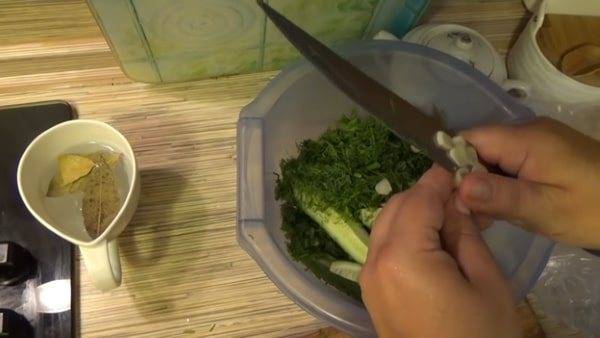 Малосольные огурцы в пакете