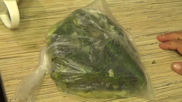 Малосольные огурцы в пакете