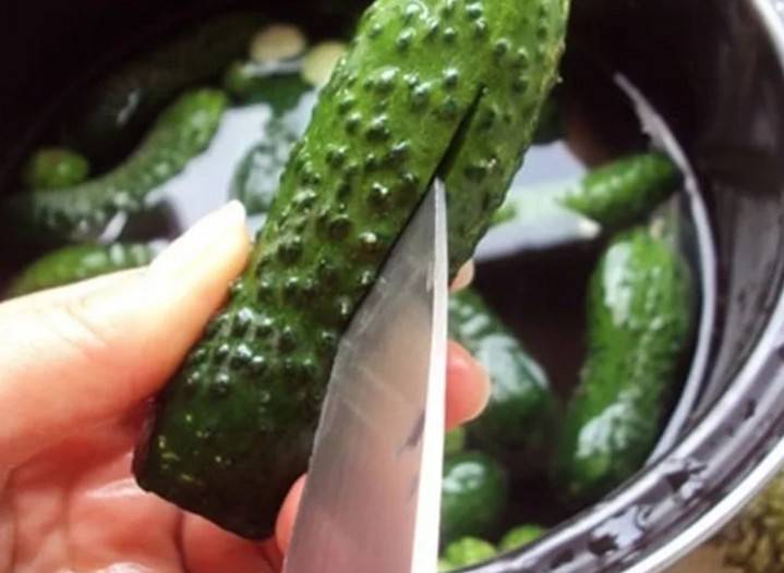 Хрустящие малосольные огурцы — фото рецепт