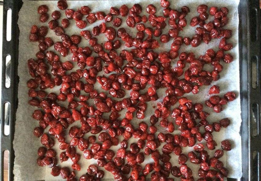 Сушеная вишня в домашних условиях